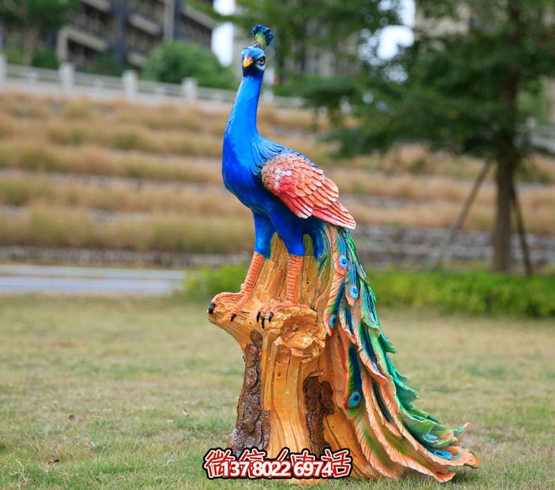 彩繪孔雀玻璃鋼雕塑，為公園街道擺放添彩